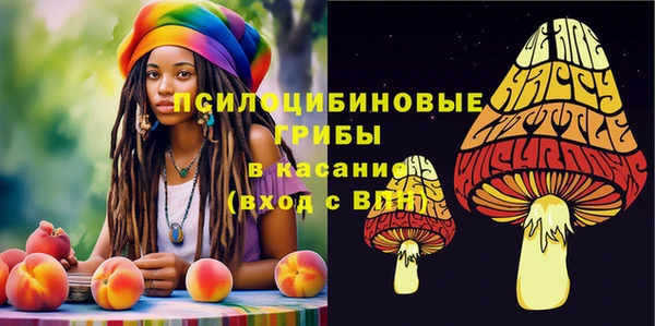 СК Карабаш