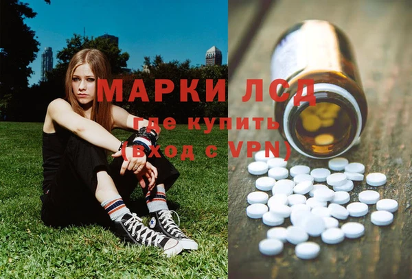 мяу мяу мука Надым